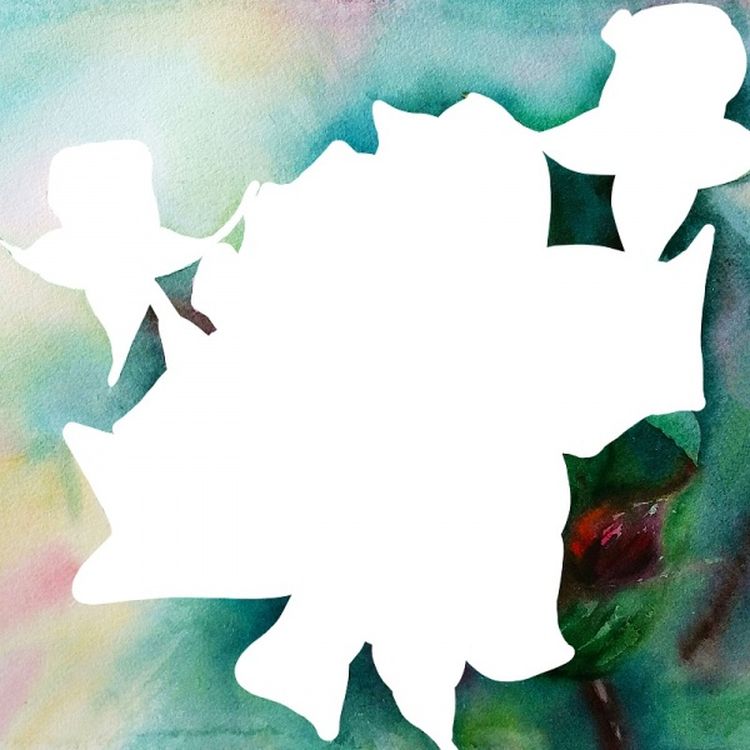 Алмазная вышивка «Нежные розы» — картинка 2