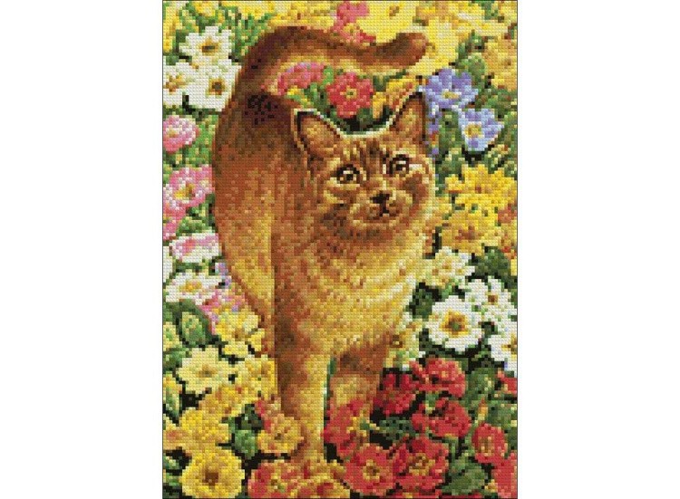 Алмазная вышивка «Рыжий» — картинка 2