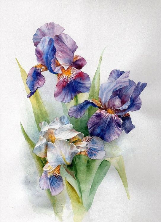 Алмазная вышивка «Ирисы» — картинка 2