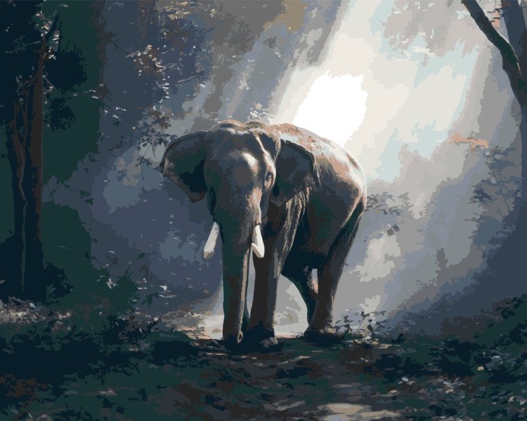 Картина по номерам «Слон»