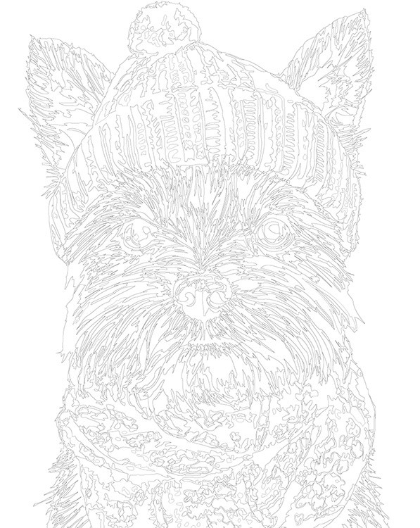 Картина по номерам «Собаки: йоркширский терьер в шапке» — картинка 3