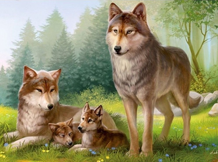 Алмазная вышивка «Семейство волков» — картинка 2