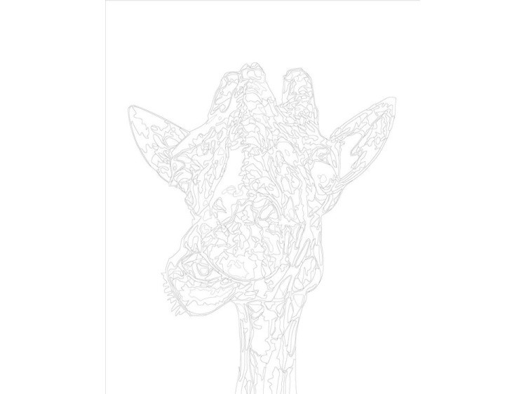 Картина по номерам «Чёрно-белый жираф» — картинка 3