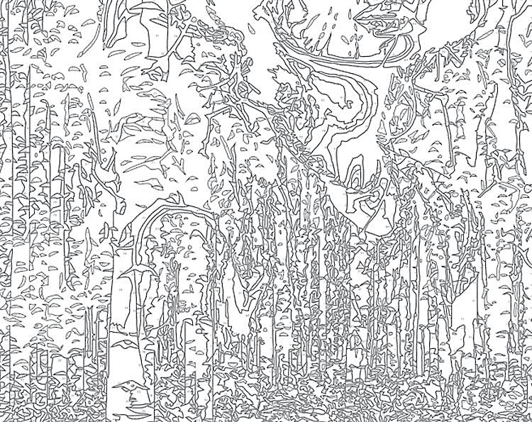 Картина по номерам «Березовая роща» — картинка 2