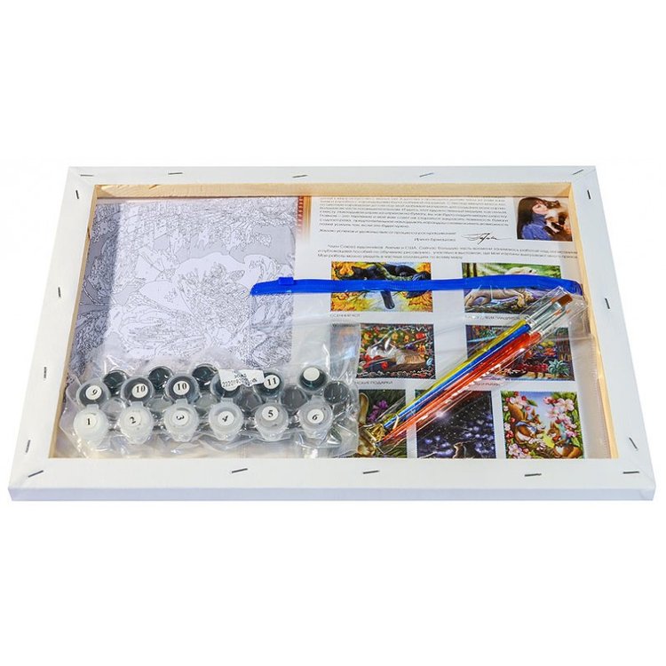 Картина по номерам «Ночные приключения» — картинка 3