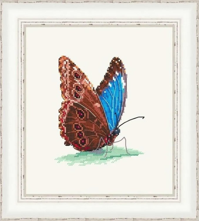 Набор для вышивания «Морфо Хеленор» — картинка 2