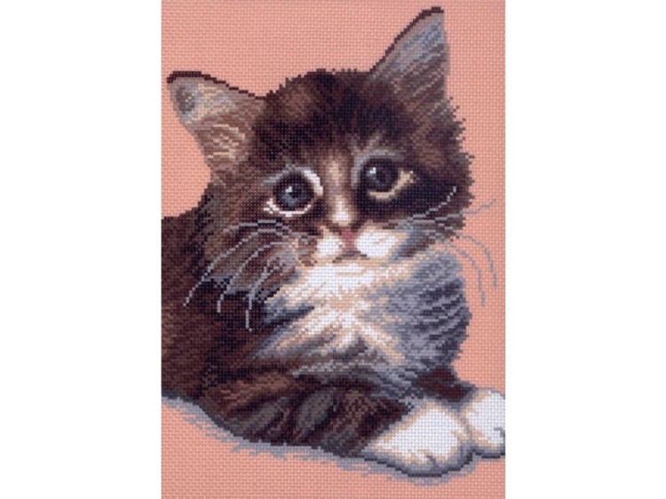 Рисунок на канве «Кот Борис»