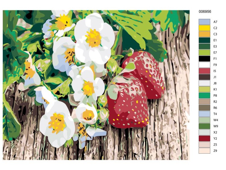 Картина по номерам «Цветки клубники» — картинка 2