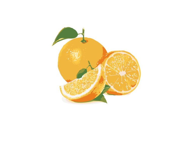 Картина по номерам «Сочный апельсин»