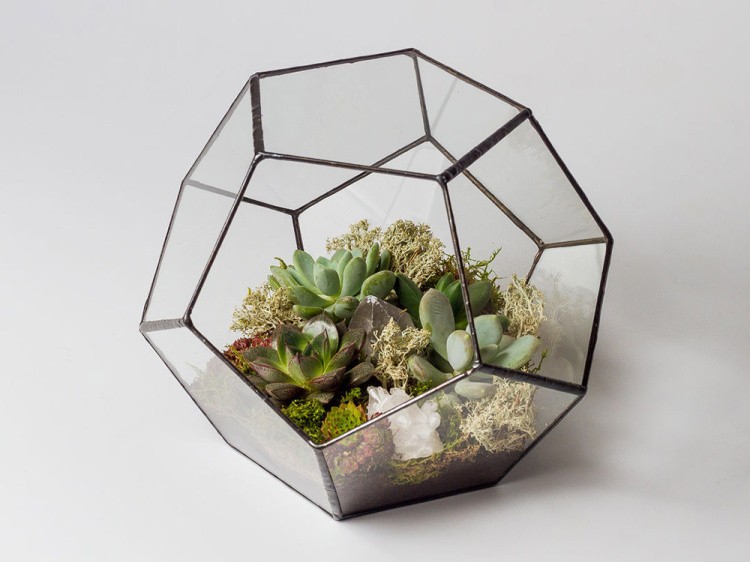 Флорариум додекаэдр большой — картинка 6