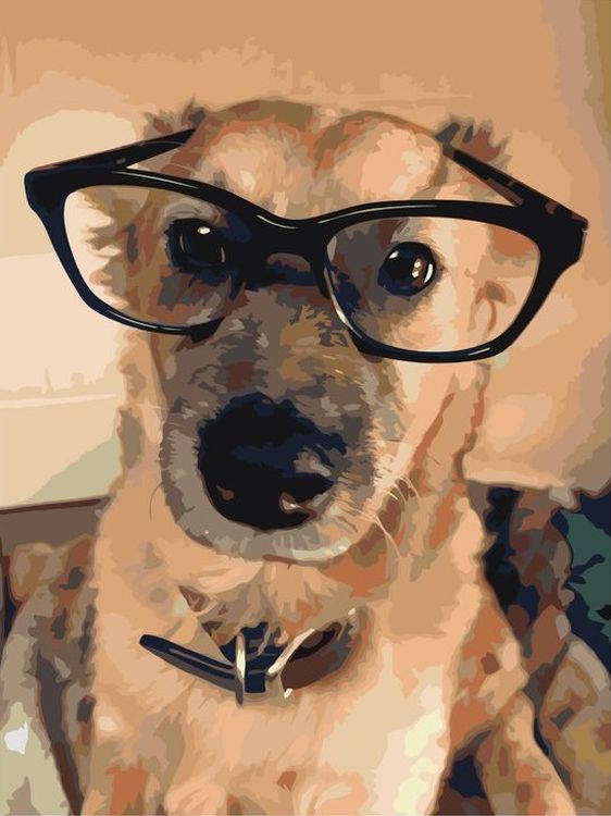 Картина по номерам «Важный пес»