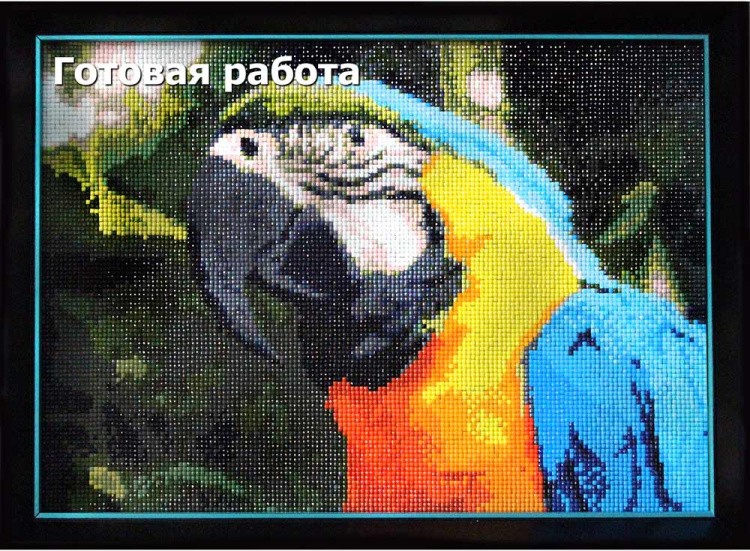 Алмазная вышивка «Попугай» — картинка 3