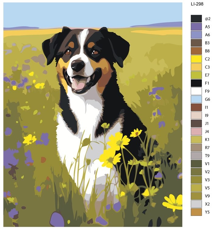 Картина по номерам «Собака в цветочном поле» — картинка 2