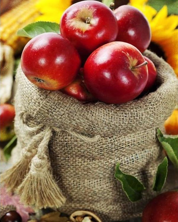 Картина по номерам «Мешок яблок» — картинка 2