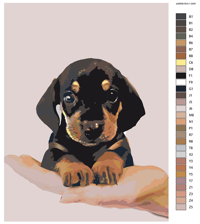 Картина по номерам «Милый песик» — картинка 2