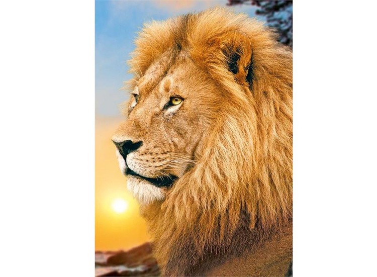 Пазлы «Лев»
