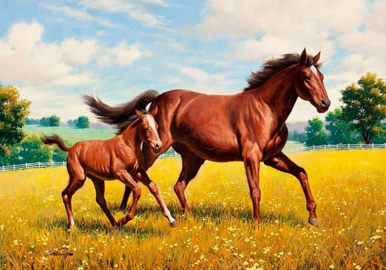 Алмазная вышивка «Лошадь с жеребенком»