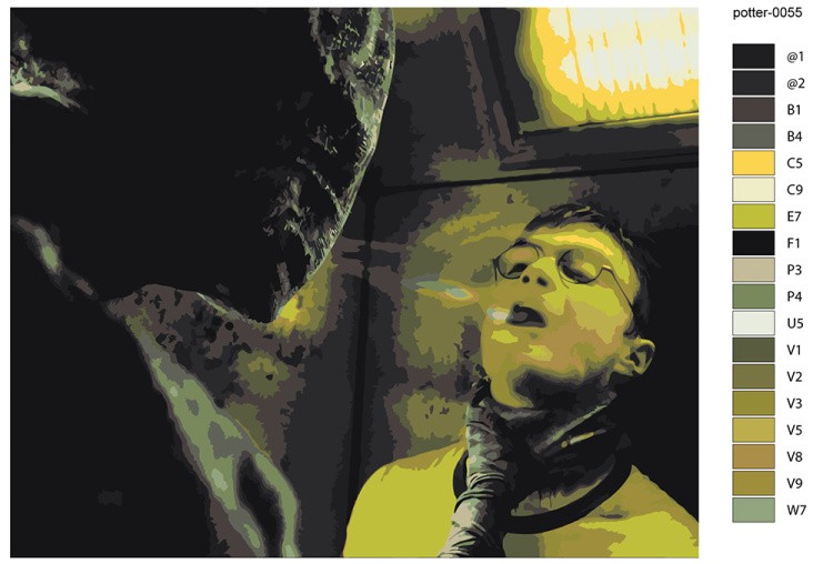 Картина по номерам «Гарри Поттер: поцелуй дементора 40x50» — картинка 2