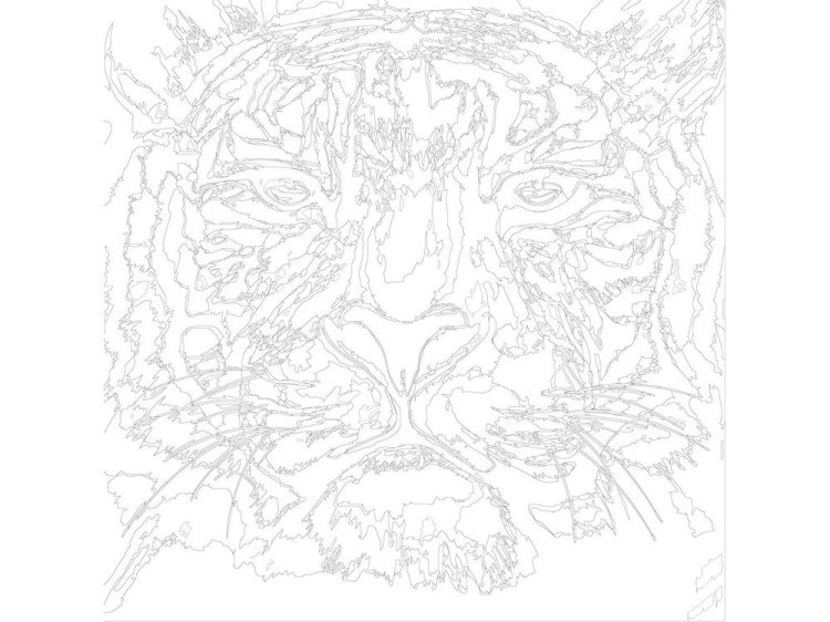 Картина по номерам «Разноцветный тигр» — картинка 3