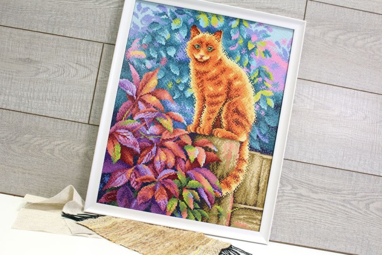 Алмазная вышивка «Деревенский житель» — картинка 3