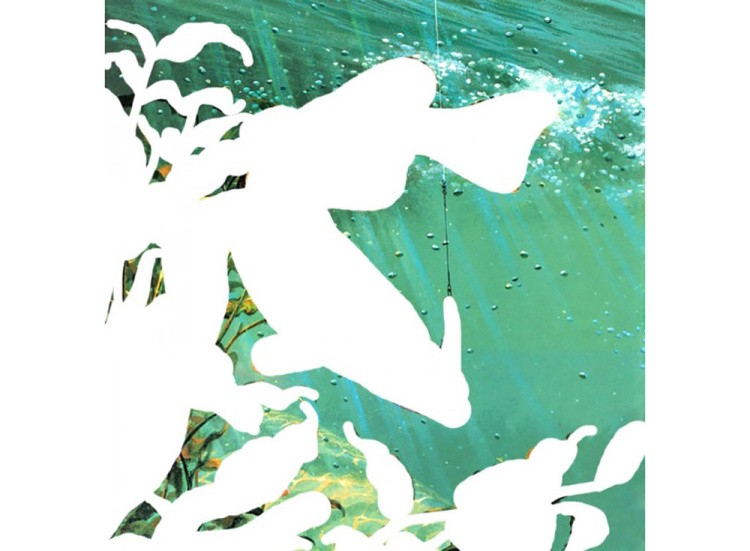 Алмазная вышивка «Улов» — картинка 2