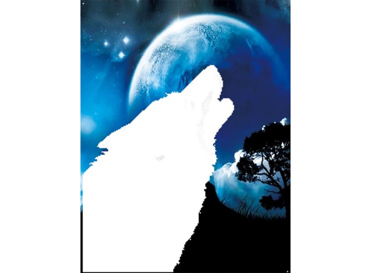 Алмазная вышивка «В ночи» — картинка 2