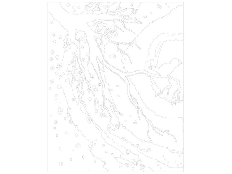 Картина по номерам «Птичка на ветке» — картинка 3