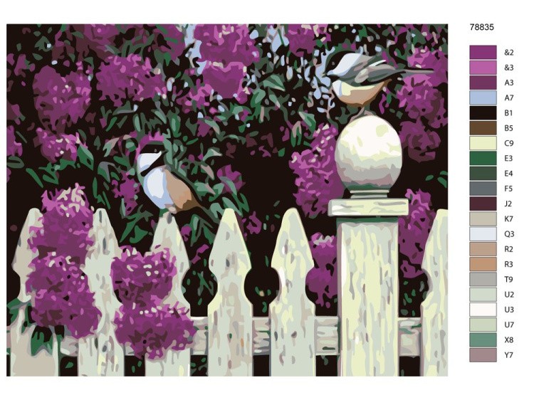 Картина по номерам «Синицы на заборе» — картинка 2