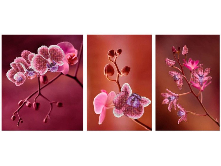 Набор вышивки бисером «Триптих Розовые орхидеи»