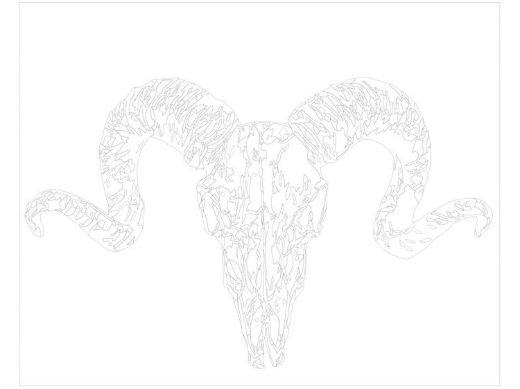 Картина по номерам «Бараний череп» — картинка 3