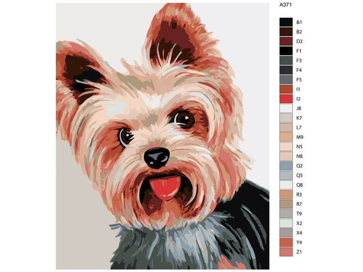 Картина по номерам «Милый йорк» — картинка 2