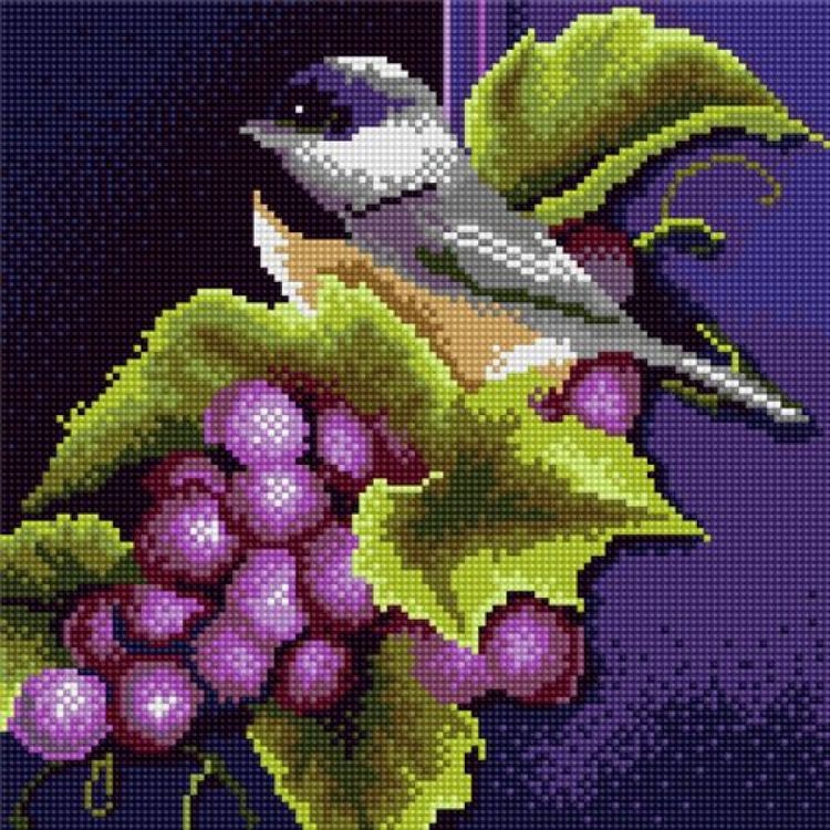 Алмазная вышивка «Птичка на винограде»
