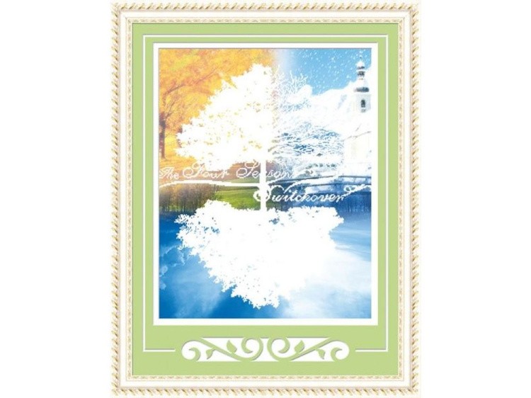 Алмазная вышивка «Времена года» — картинка 2