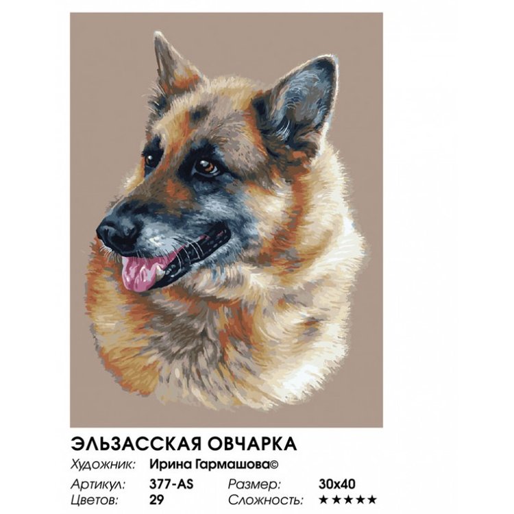 Картина по номерам «Эльзасская овчарка» — картинка 2