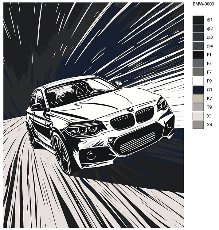 Картина по номерам «Машина BMW спортивная монохром 40х50» — картинка 2