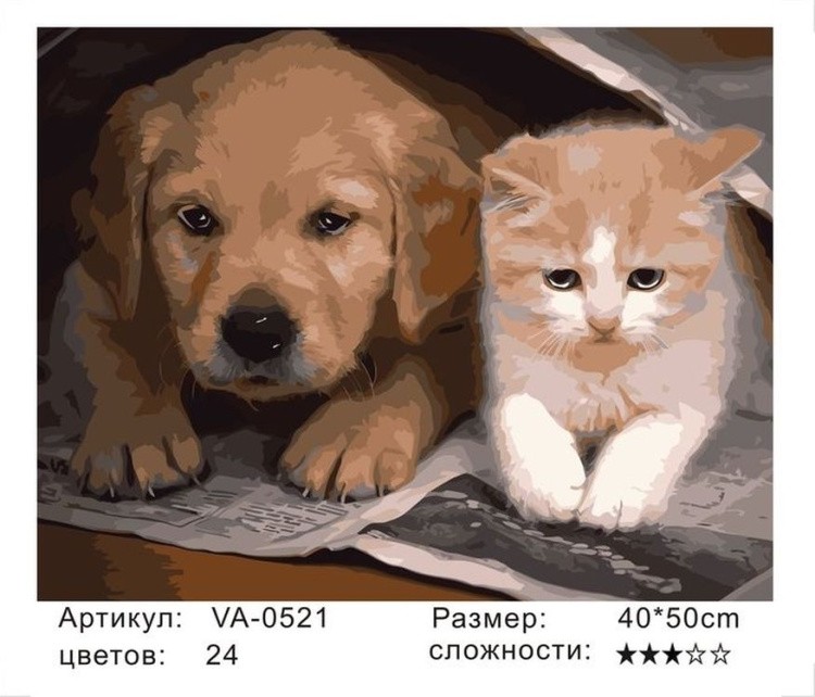 Картина по номерам «Щенок и котёнок» — картинка 2
