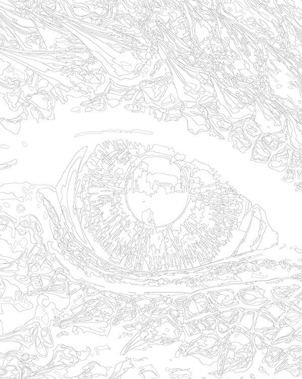 Картина по номерам «Глаз красного дракона» — картинка 3