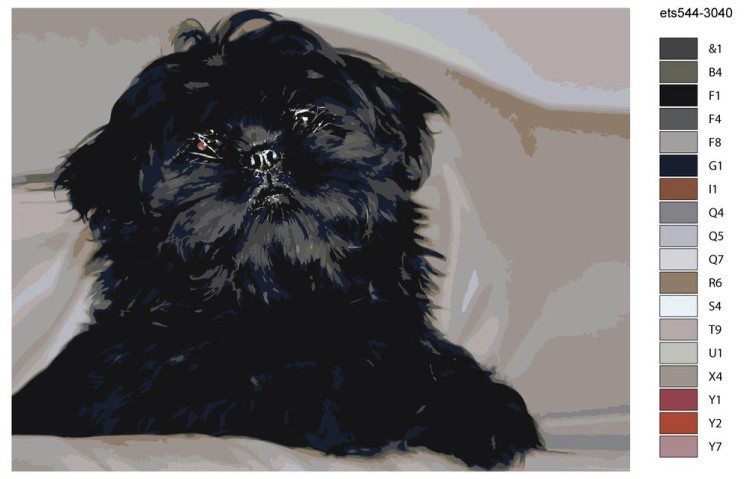 Картина по номерам «Черный пес» — картинка 2