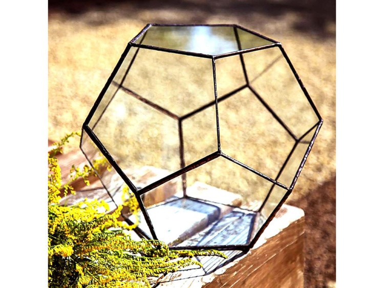 Флорариум додекаэдр большой — картинка 2