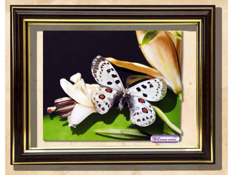 Рамка-аквариум с прозрачным дном для папертоли — картинка 3