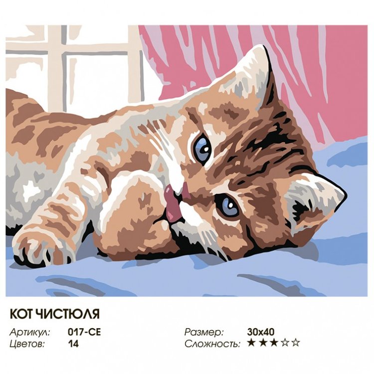Картина по номерам «Кот-чистюля» — картинка 2