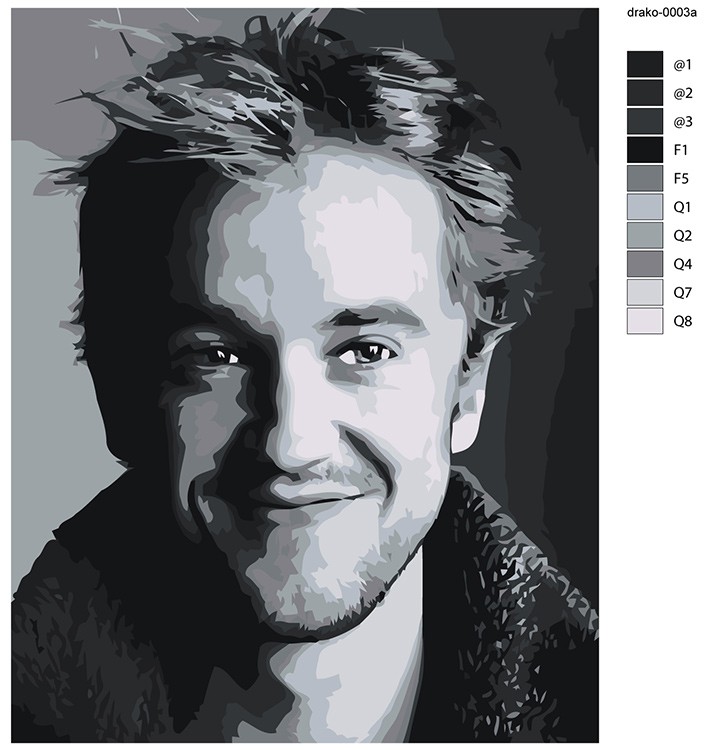 Картина по номерам «Гарри Поттер: Драко Малфой - актер Том Фелтон» — картинка 2