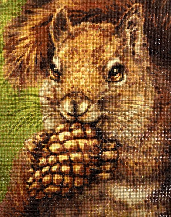 Алмазная вышивка «Белочка с шишкой» — картинка 2