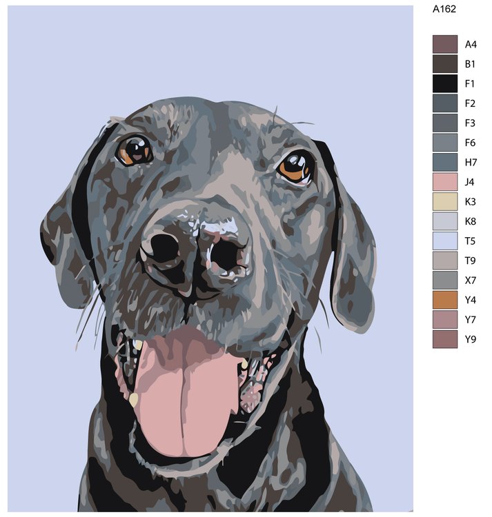 Картина по номерам «Джейда» — картинка 2