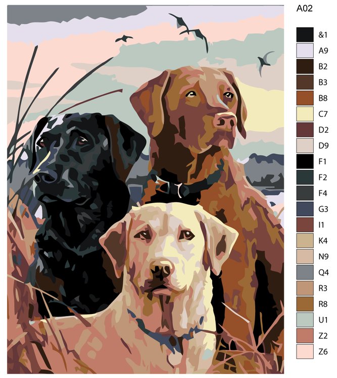 Картина по номерам «Лабрадоры» — картинка 2