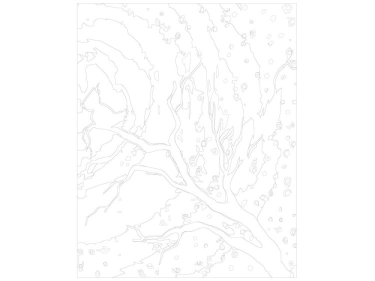 Картина по номерам «Птичка на ветке 2» — картинка 3