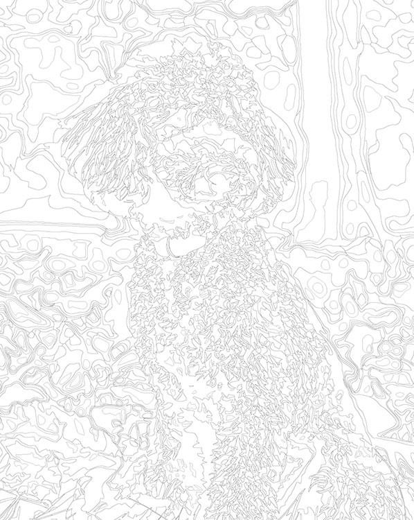 Картина по номерам «Собака пудель в лесу, осень 40х50» — картинка 3