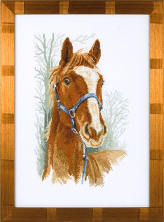 Набор для вышивания «Орлик» — картинка 2