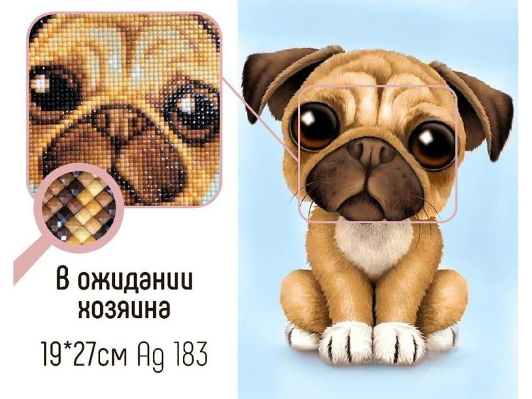 Алмазная вышивка «В ожидании хозяина» — картинка 2