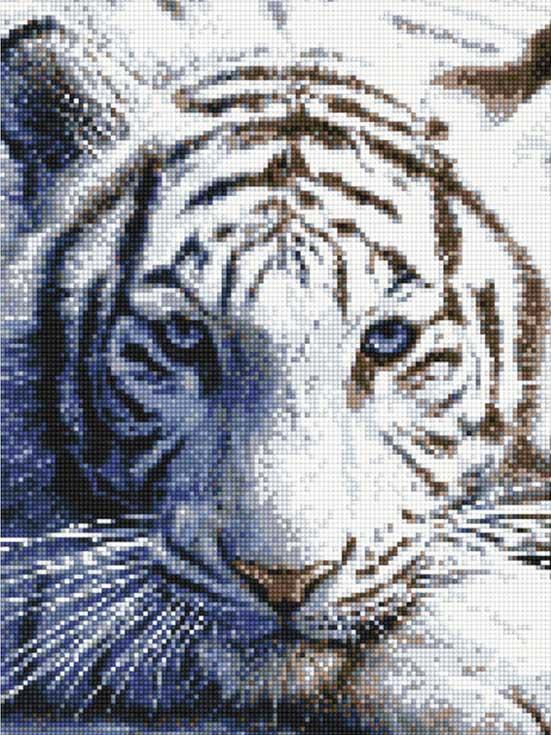 Алмазная вышивка «Тигриный взгляд»